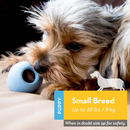 KONG Puppy Chew Toy For Dog -Small Breed (Assorted Colors)