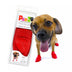 Pawz Boots For Dog (Small)