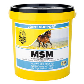 Select the Best MSM Joint Support for Horses (10 lb)
