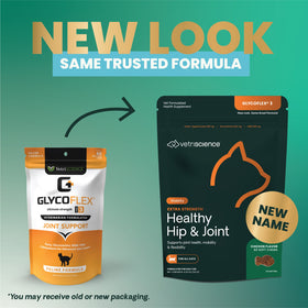 Extra Strength Healthy Hip & Joint Chews for Cats