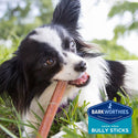 Barkworthies Odor-Free Bully Sticks Treats For Dog