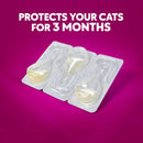 ZoGuard Plus Topical Flea & Tick Prevention for Cats Over 1.5 lbs