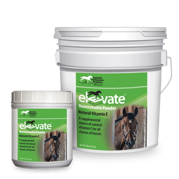 Elevate Maintenance Powder Vitamin E for Horses