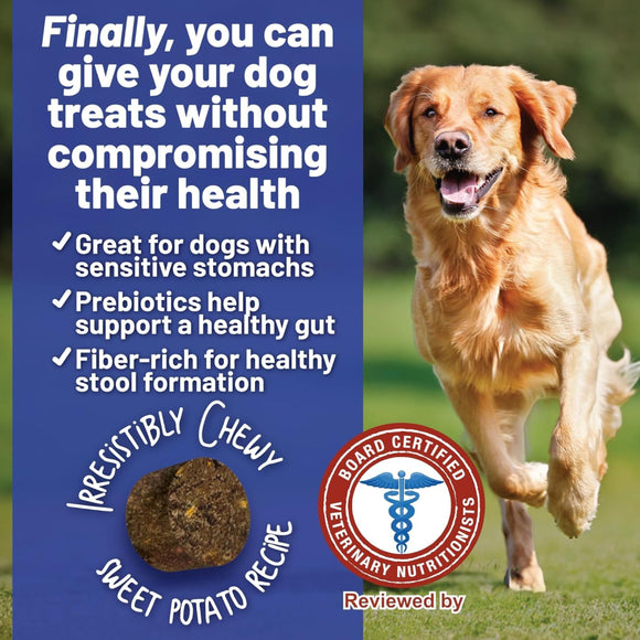 Dave's Pet Food Digestive-Friendly Sweet Potato & Pumpkin Recipe Treats For Dog  (5 oz)