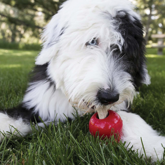 Kong Stuff'N Ziggies Chicken Flavor Treats For Dog (Large)(8 oz)