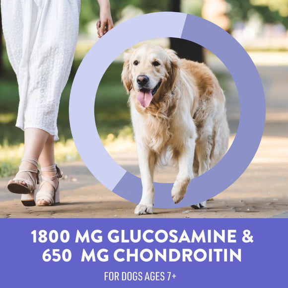 Dogswell Senior Health Mini Soft Strips Duck Recipe Treats For Dog 