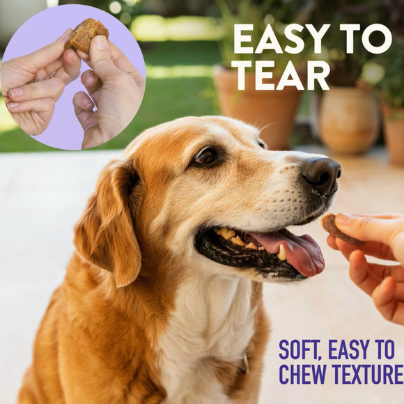 Dogswell Senior Health Mini Soft Strips Duck Recipe Treats For Dog 