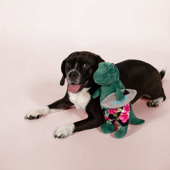 PetShop by Fringe Studio Surfer Bro Rex Dinosaur Plush Toy For Dog