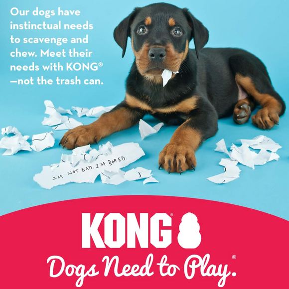 KONG Puppy Chew Toy For Dog -Small Breed (Assorted Colors)