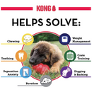 KONG Puppy Chew Toy For Dog -Small Breed (Assorted Colors)