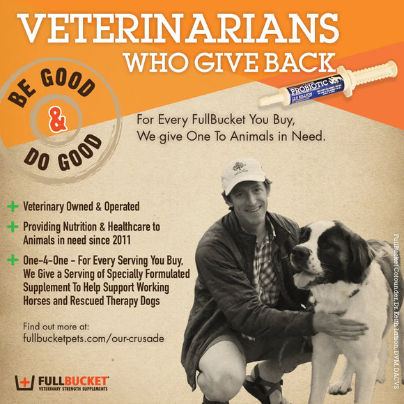 Fullbucket Dog Probiotic Paste (single tube)