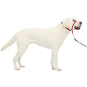 PetSafe Gentle Leader Headcollar for Dogs, Raspberry large