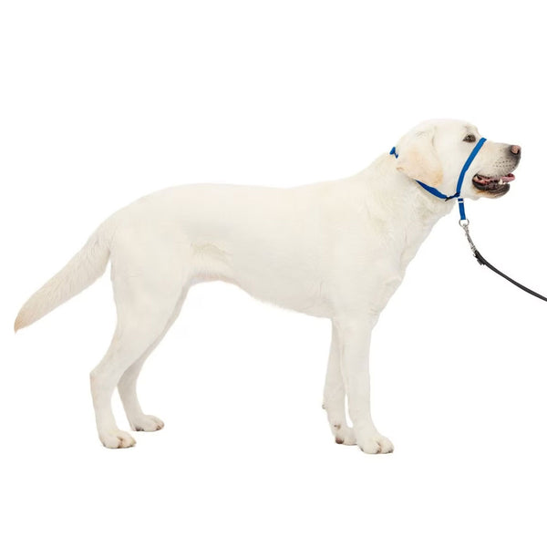 PetSafe Gentle Leader Headcollar for Dogs, Royal Blue Large