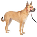 PetSafe Gentle Leader Headcollar for Dogs, Red medium