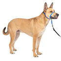 PetSafe Gentle Leader Headcollar for Dogs, Royal Blue Medium