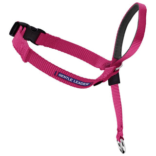 PetSafe Gentle Leader Headcollar for Dogs, Raspberry