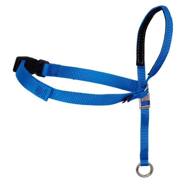 PetSafe Gentle Leader Headcollar for Dogs, Royal Blue