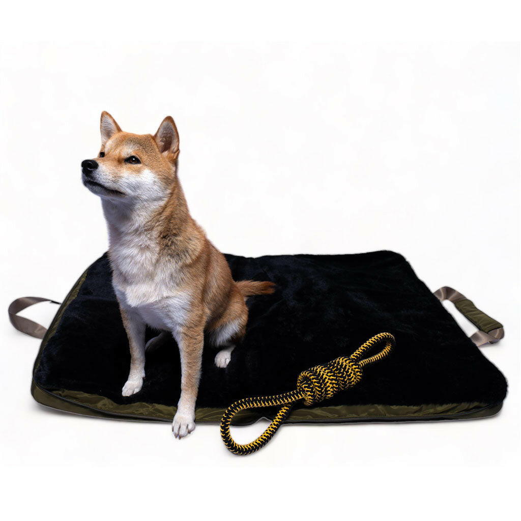 4 Cats & Dogs Gus Travel Bed, Army with dog sitting and the rope