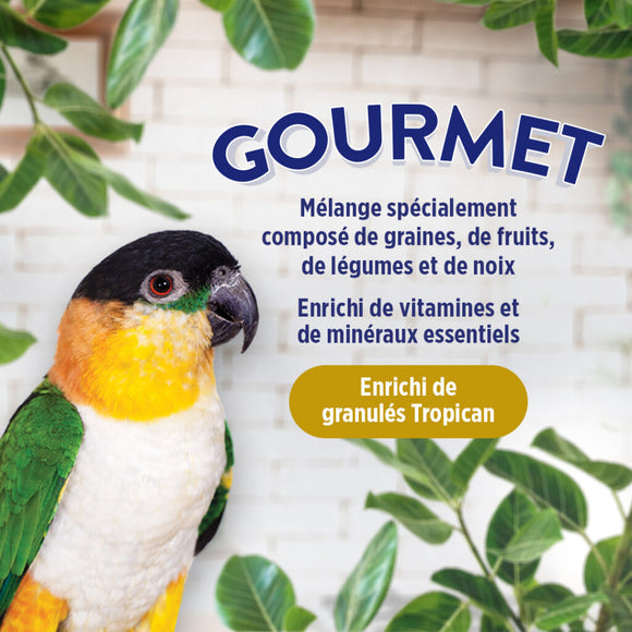 Hari Gourmet Premium Seed Mix for Parrots, 4.4-lb