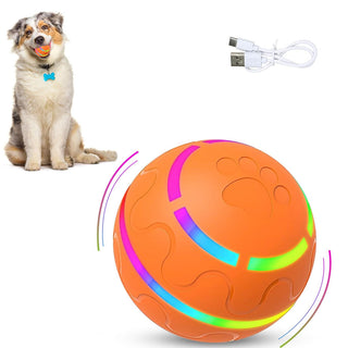HardyPaw Auto Pet Toy Ball with dog