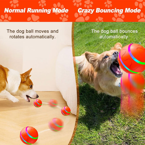 HardyPaw Auto Pet Toy Ball bouncing ball