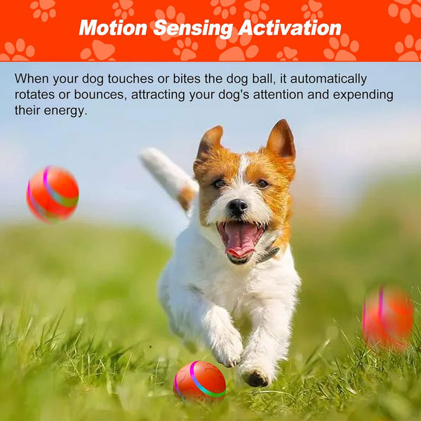 HardyPaw Auto Pet Toy Ball motion sensing
