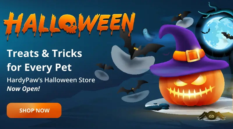 Pet halloween costume sale