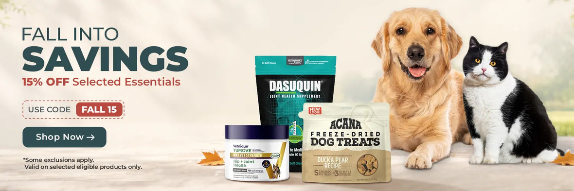 Hardypaw website banner 1 1