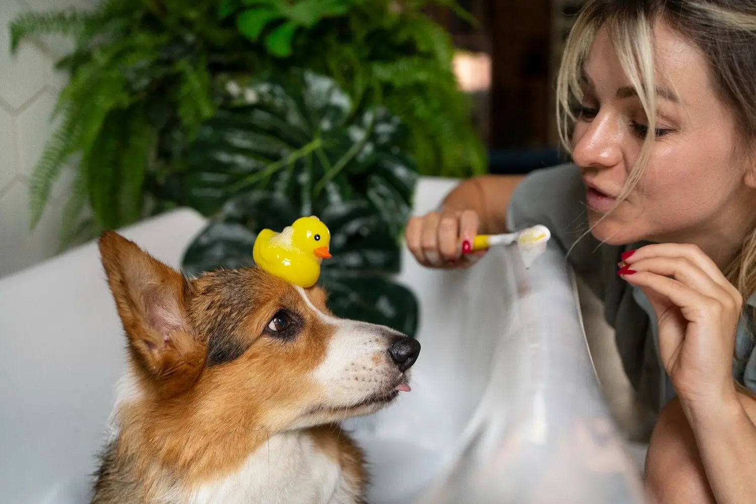 5 Best Dental Care Products: Every Pet Parent Should Know