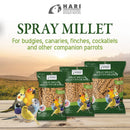 Hagen Living Spray Millet-4