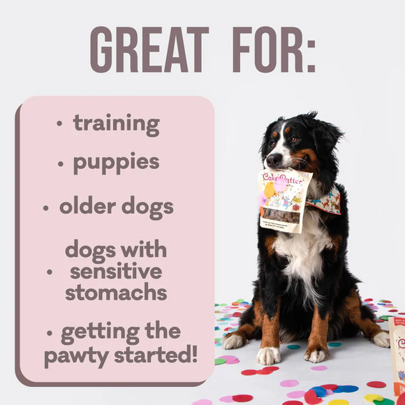 Polkadog Cake Batter Soft & Chewy Bits Peanut Butter & Banana Recipe for Dogs