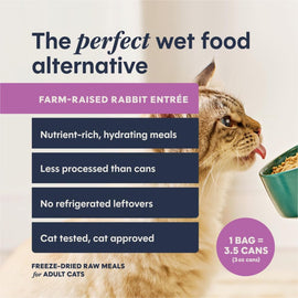 Instinct Fresh Dried Patés Freeze-Dried Raw Rabbit Entrée for Cats - 0