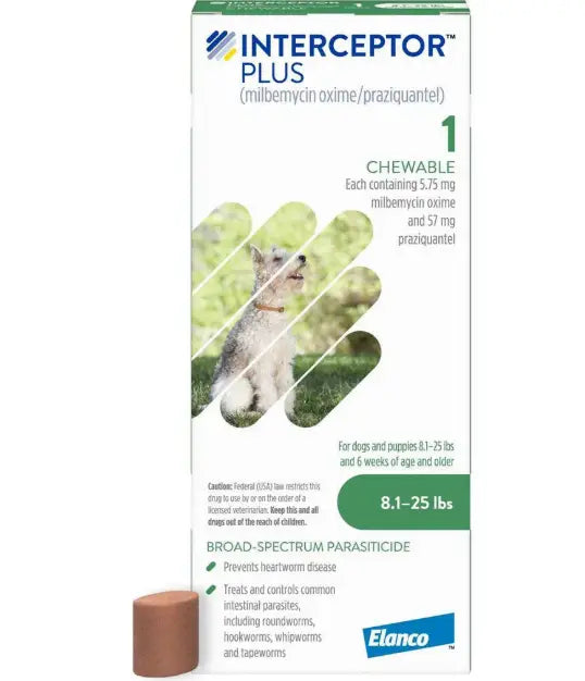 Interceptor Plus vs Heartgard Plus – Which Parasite Preventive Is Better?