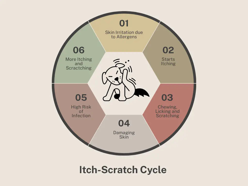 Dog Itch Scratch Cycle