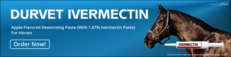 Apple-flavored Ivermectin deworming paste for horses