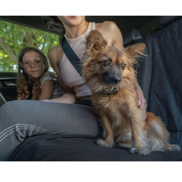 4 Cats & Dogs Jet Seat Jacket Car Seat Protector on backseat of the car with dog and family