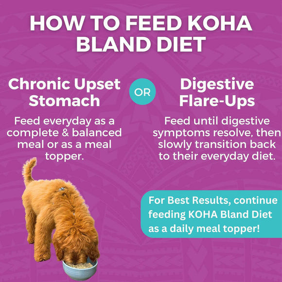 Koha Limited Ingredient Bland Diet Beef & White Rice how to feed