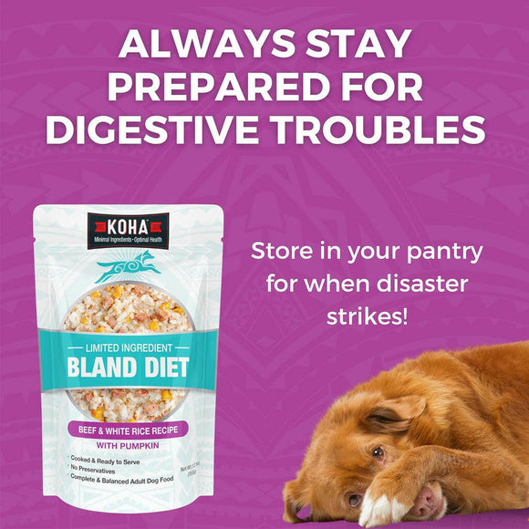 Koha Limited Ingredient Bland Diet Beef & White Rice features