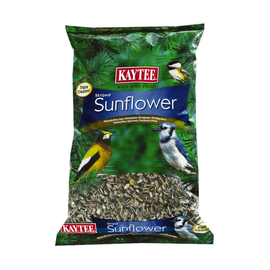 Boost Bird Energy with Premium Sunflower Seeds