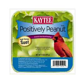 Kaytee Positively Peanut High Energy Suet for Wild Birds (11 oz) - Bird Food 1