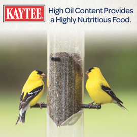High Nutritional Energy  seeds