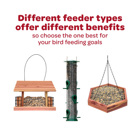 Kaytee Cracked Corn Wild Bird Food (4 lb) - Bird Food 5