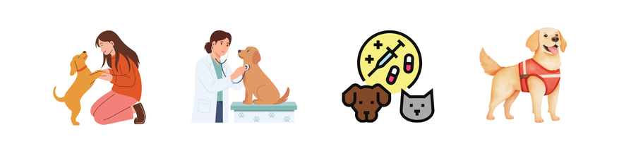 Keeping Your Pets Safe What Every Pet Parent Should Know
