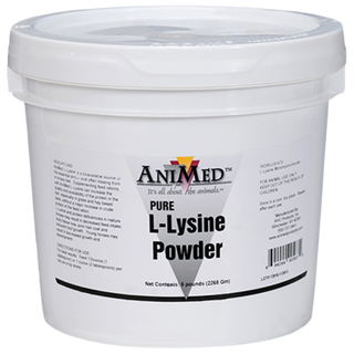 AniMed Pure L-Lysine Powder (5 lb)