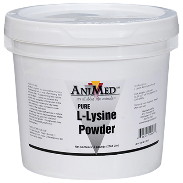 AniMed Pure L-Lysine Powder (5 lb)