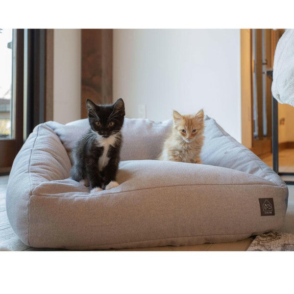 4 Cats & Dogs Loafer Sofa Bed, Carbon, with Kittens