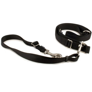 PetSafe Nylon Hands-Free Running Dog Leash