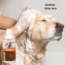 LUCAA+ Pet Probiotic Anti-Itch Shampoo for Sensitive Skin for Dogs, Cats & Horses-3
