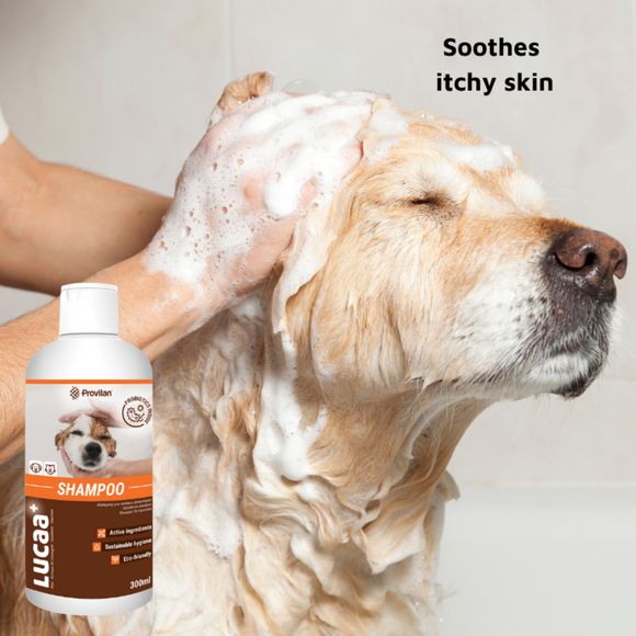 LUCAA+ Pet Probiotic Anti-Itch Shampoo for Sensitive Skin for Dogs, Cats & Horses