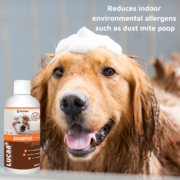 LUCAA+ Pet Probiotic Anti-Itch Shampoo for Sensitive Skin for Dogs, Cats & Horses